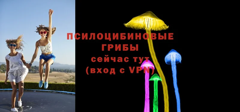 Галлюциногенные грибы MAGIC MUSHROOMS  Иркутск 